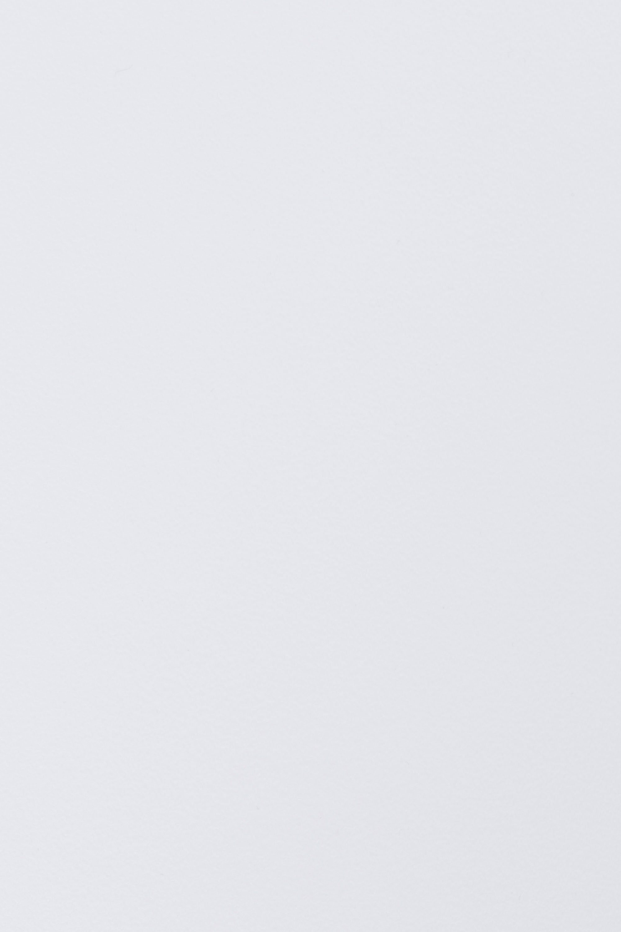 Set of 2 Pip All White Dining Chairs